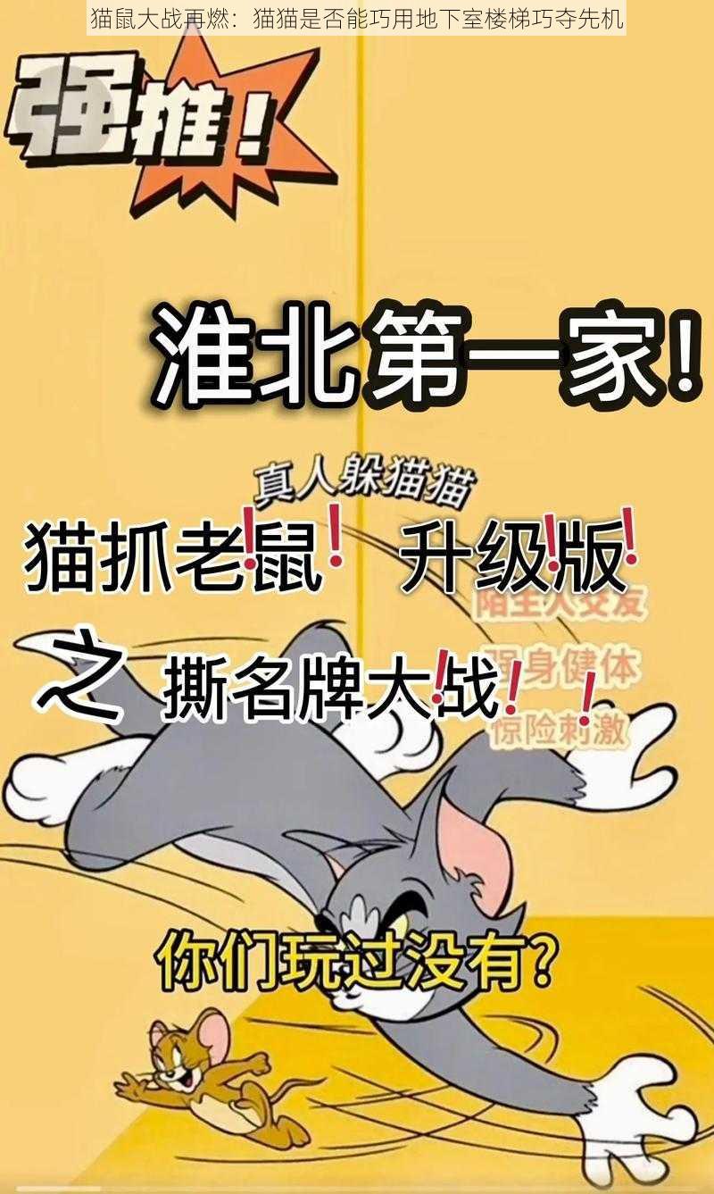 猫鼠大战再燃：猫猫是否能巧用地下室楼梯巧夺先机