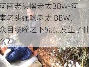 河南老头搡老太BBw-河南老头强吻老太 BBW，众目睽睽之下究竟发生了什么？