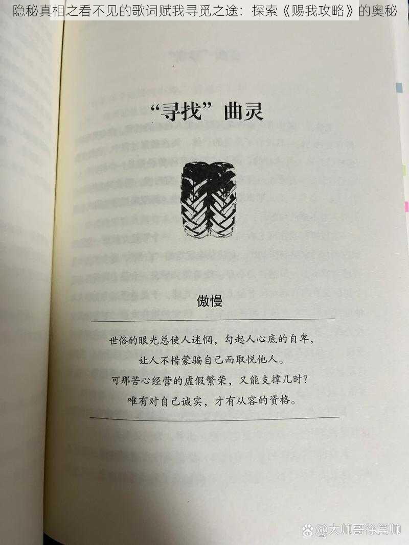 隐秘真相之看不见的歌词赋我寻觅之途：探索《赐我攻略》的奥秘