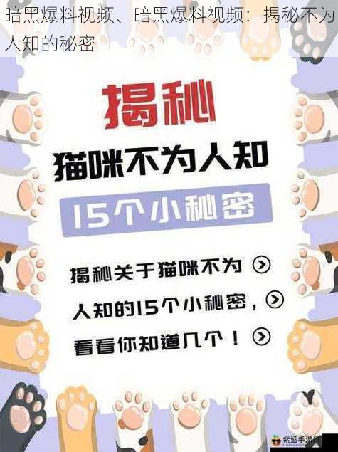 暗黑爆料视频、暗黑爆料视频：揭秘不为人知的秘密