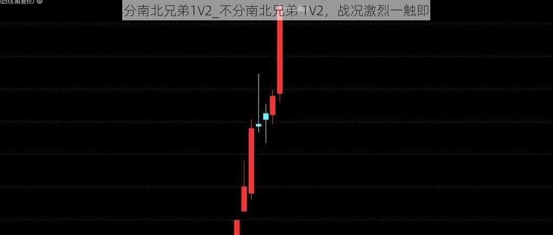 不分南北兄弟1V2_不分南北兄弟 1V2，战况激烈一触即发