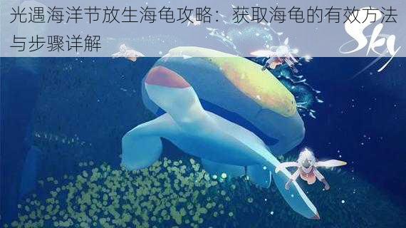 光遇海洋节放生海龟攻略：获取海龟的有效方法与步骤详解