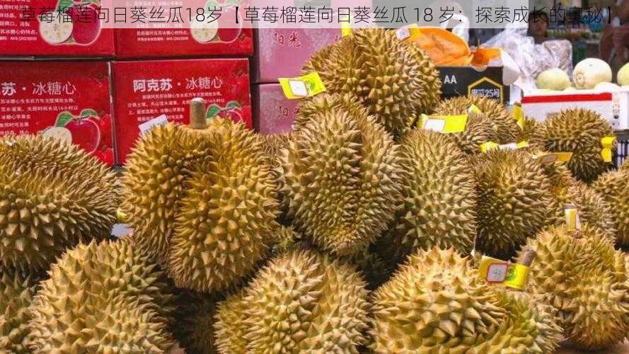 草莓榴莲向日葵丝瓜18岁【草莓榴莲向日葵丝瓜 18 岁：探索成长的奥秘】