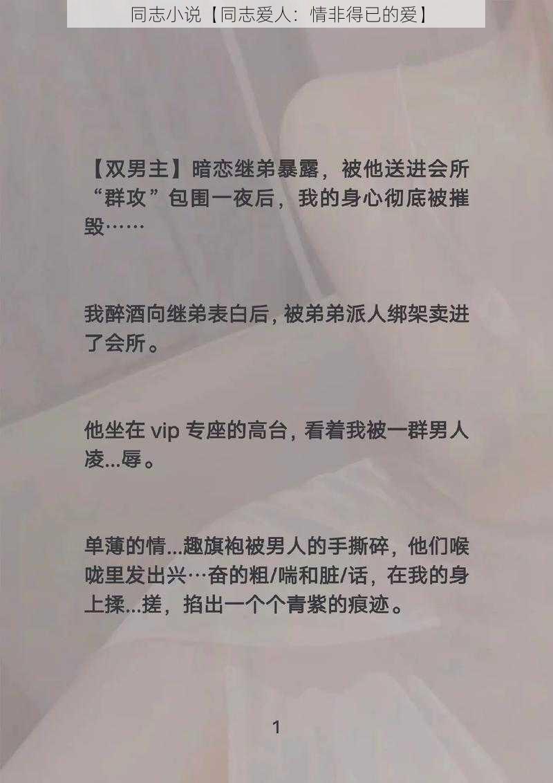 同志小说【同志爱人：情非得已的爱】