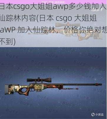 日本csgo大姐姐awp多少钱加入仙踪林内容(日本 csgo 大姐姐 aWP 加入仙踪林，价格你绝对想不到)