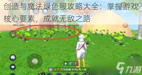 创造与魔法绿色服攻略大全：掌握游戏核心要素，成就无敌之路