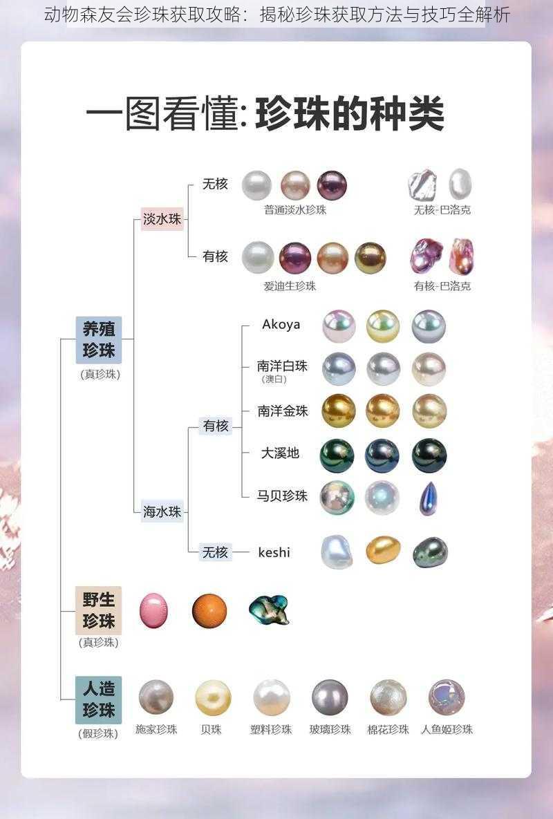 动物森友会珍珠获取攻略：揭秘珍珠获取方法与技巧全解析