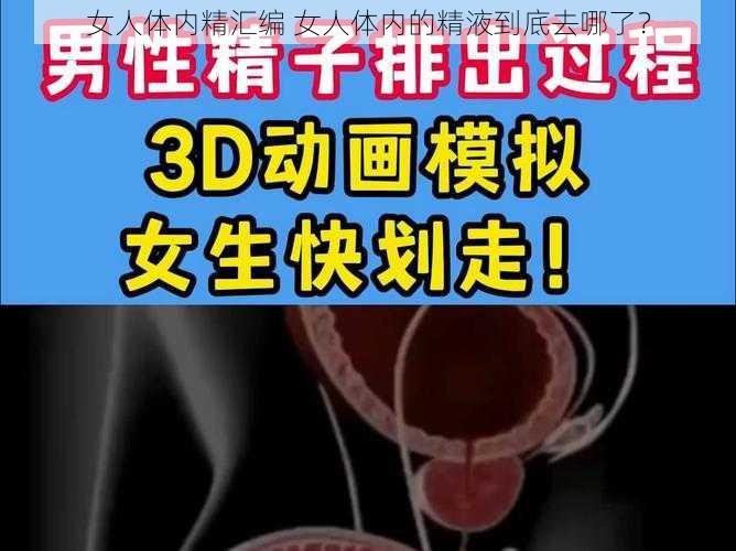 女人体内精汇编 女人体内的精液到底去哪了？