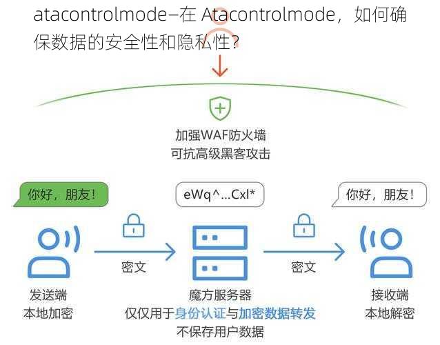 atacontrolmode—在 Atacontrolmode，如何确保数据的安全性和隐私性？