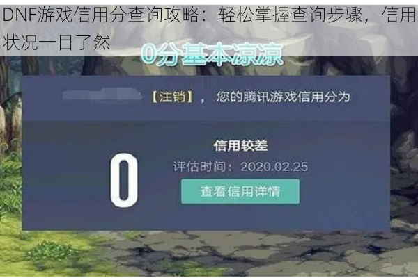 DNF游戏信用分查询攻略：轻松掌握查询步骤，信用状况一目了然