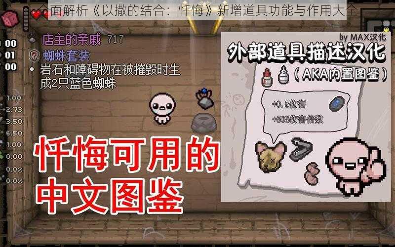 全面解析《以撒的结合：忏悔》新增道具功能与作用大全