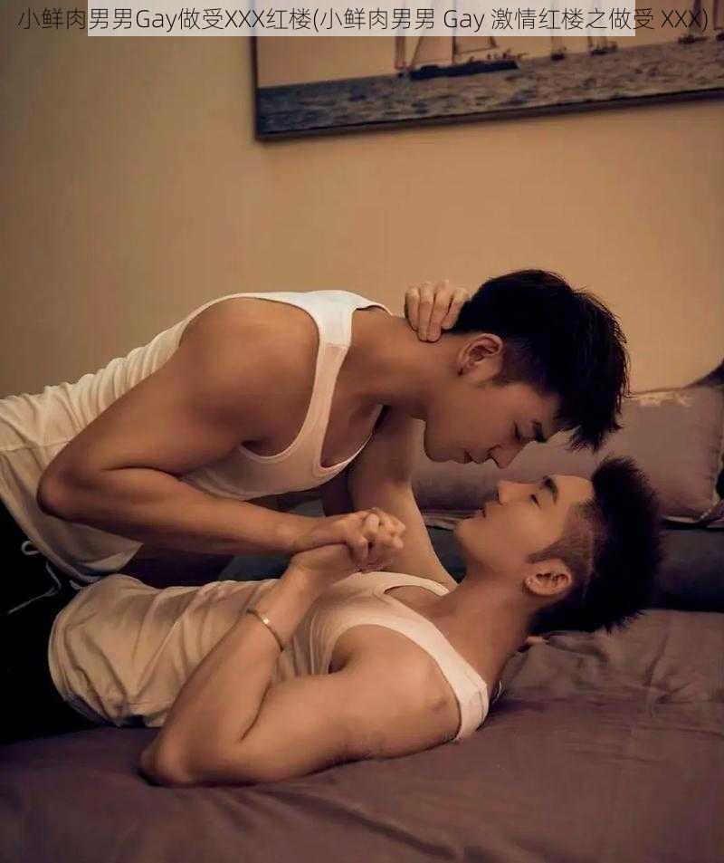 小鲜肉男男Gay做受XXX红楼(小鲜肉男男 Gay 激情红楼之做受 XXX)