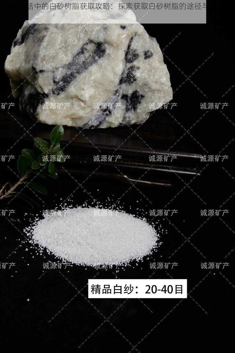 小森生活中的白砂树脂获取攻略：探索获取白砂树脂的途径与入手方法