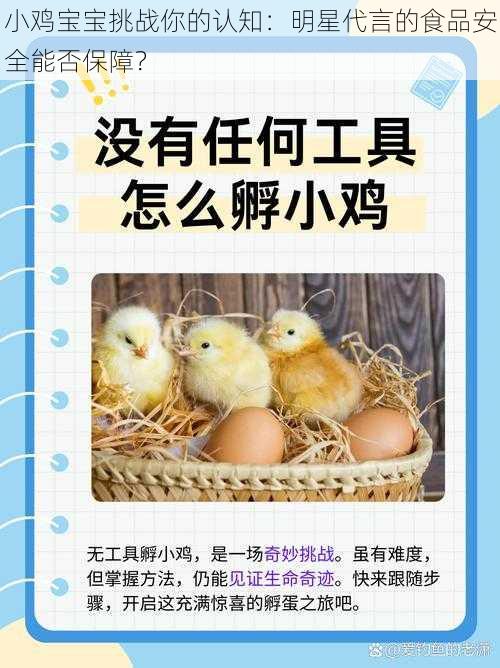 小鸡宝宝挑战你的认知：明星代言的食品安全能否保障？