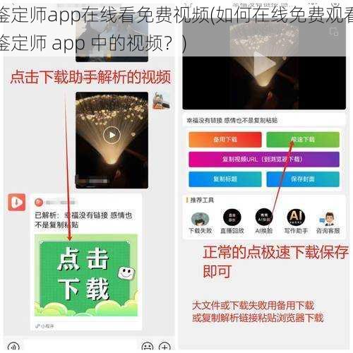 鉴定师app在线看免费视频(如何在线免费观看鉴定师 app 中的视频？)