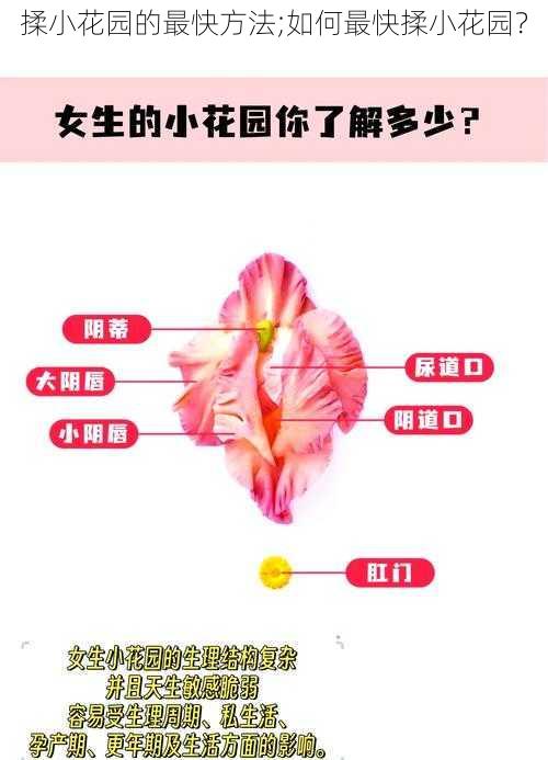 揉小花园的最快方法;如何最快揉小花园？