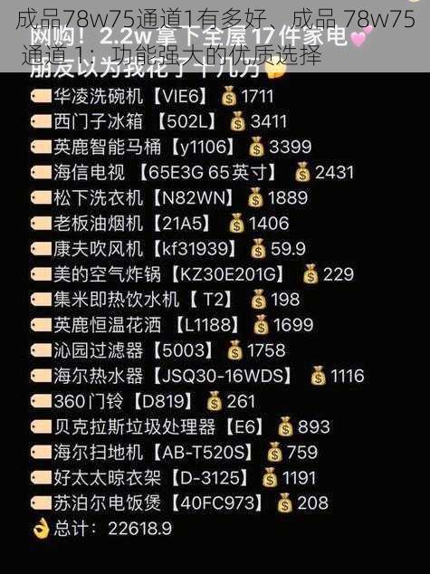 成品78w75通道1有多好、成品 78w75 通道 1：功能强大的优质选择