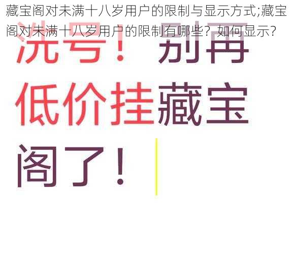 藏宝阁对未满十八岁用户的限制与显示方式;藏宝阁对未满十八岁用户的限制有哪些？如何显示？