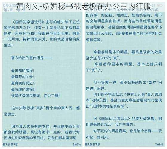 黄肉文-娇媚秘书被老板在办公室内征服