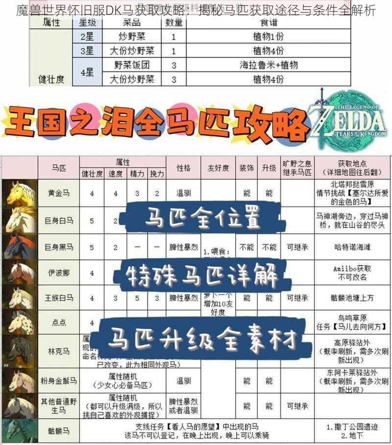 魔兽世界怀旧服DK马获取攻略：揭秘马匹获取途径与条件全解析