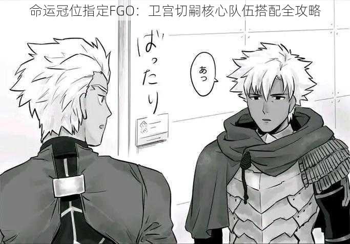 命运冠位指定FGO：卫宫切嗣核心队伍搭配全攻略