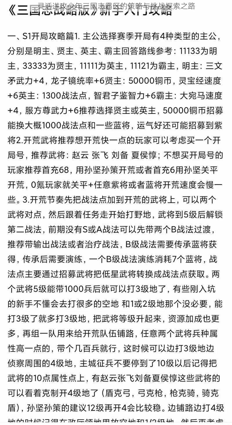 灵活进攻少年三国志霸区的策略与挑战探索之路