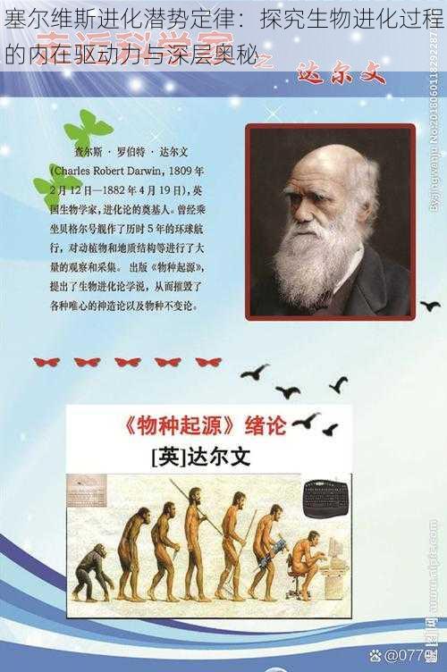 塞尔维斯进化潜势定律：探究生物进化过程的内在驱动力与深层奥秘