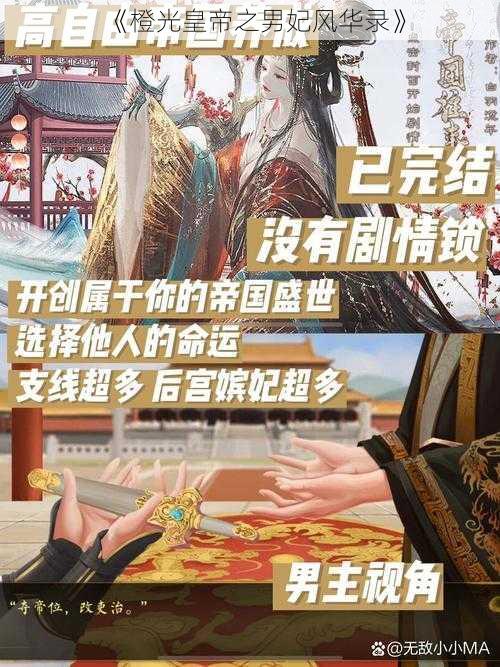 《橙光皇帝之男妃风华录》