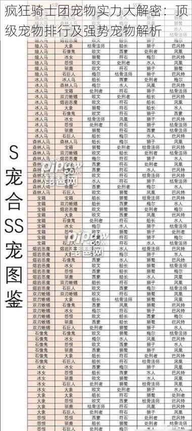 疯狂骑士团宠物实力大解密：顶级宠物排行及强势宠物解析